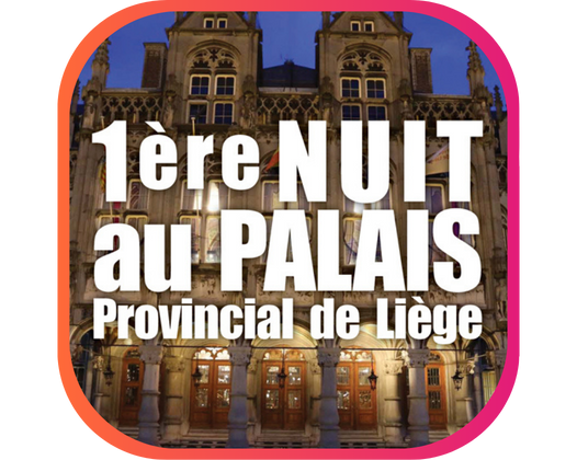 UNE NUIT AU PALAIS