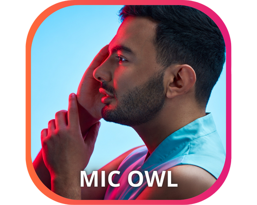 MIC OWL